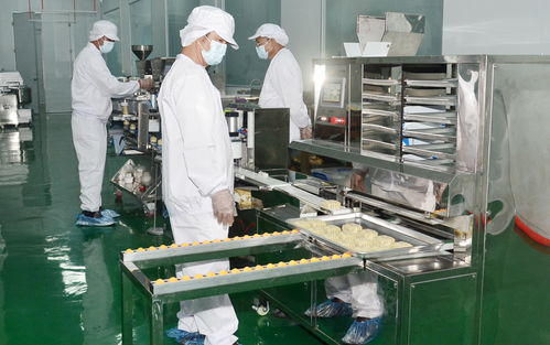 全球首個(gè)ai食品工廠落地 羅定市絲苗米產(chǎn)業(yè)園絲苗米初精深加工項(xiàng)目正式投產(chǎn)